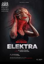 Elektra poster design by Damien Frost