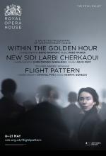 Flight Pattern ballet poster design by Damien Frost