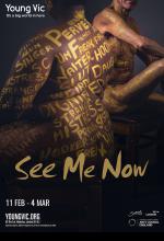 See Me Now theatre poster design by Damien Frost