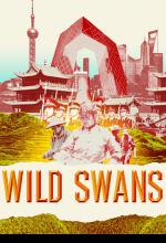 Wild Swans theatre poster draft concept design by Damien Frost