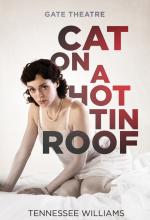 Cat on a Hot Tin Roof theatre poster design by Damien Frost