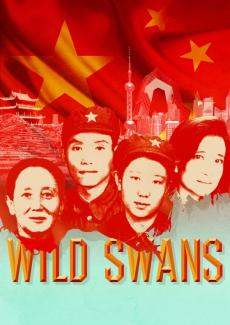 Wild Swans theatre poster draft concept design by Damien Frost