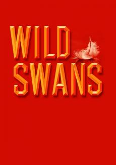 Wild Swans theatre poster draft concept design by Damien Frost