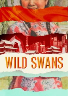 Wild Swans theatre poster draft concept design by Damien Frost